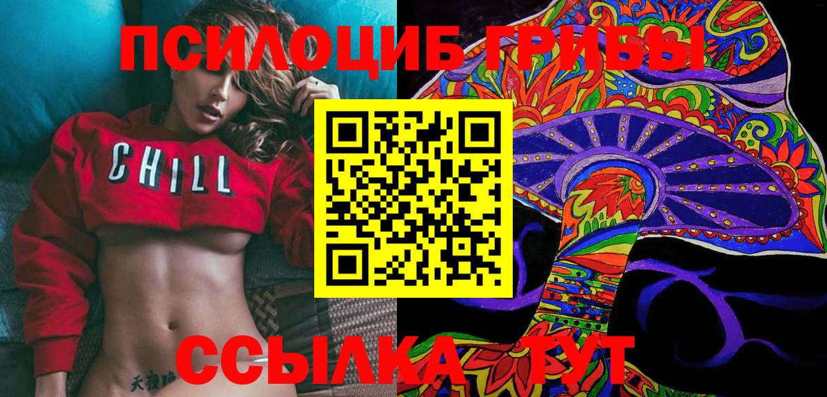 Химки  купить закладку  Вход с VPN  Галлюциногенные грибы Psilocybine cubensis 